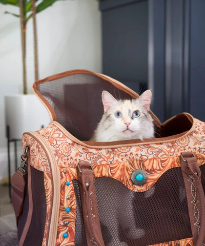 A white cat with blue eyes sits inside a brown and tan patterned pet carrier bag with mesh windows, set against an indoor background.