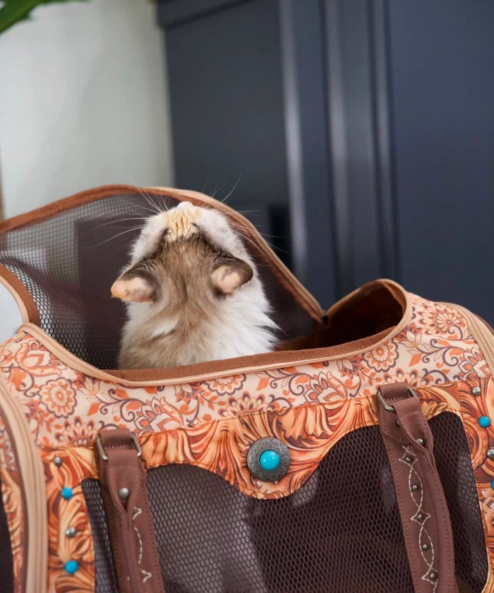 A fluffy cat sits inside a patterned pet carrier bag with brown mesh panels and turquoise accents, photographed indoors against a dark cabinet background.